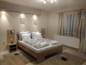  Guest House Dimitrije  Нишка Бања